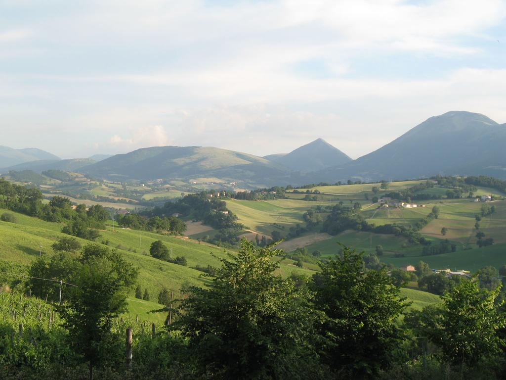 Locanda Dell'Istrice Camerino Oda fotoğraf